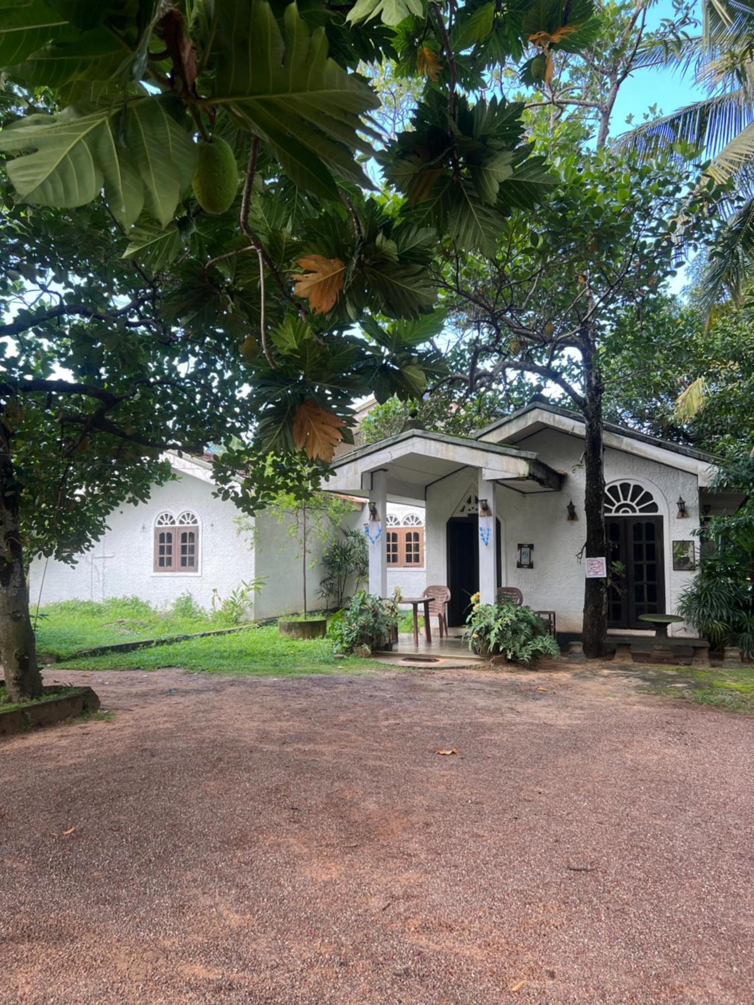 Sylvester Villa Hostel Negombo Exterior foto